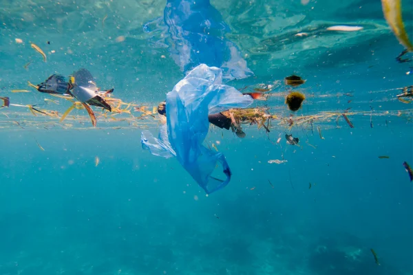 reciclaje, medio ambiente, plástico mar